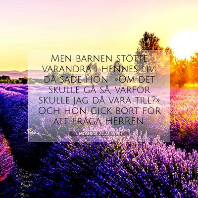 Picture 07 - 1 Mosebok 25:22 SV1917 - Men barnen stötte varandra i hennes liv; då - Bible Verse Picture