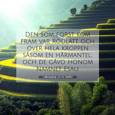 Picture 07 - 1 Mosebok 25:25 SV1917 - Den som först kom fram var rödlätt och över - Bible Verse Picture