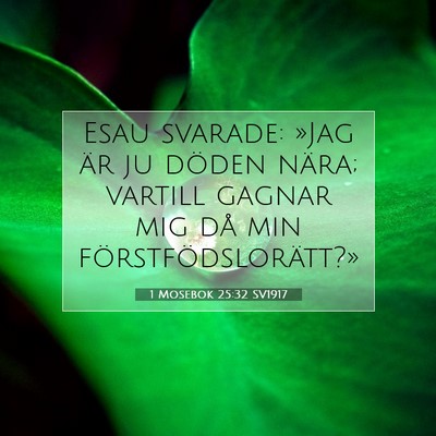 Picture 07 - 1 Mosebok 25:32 SV1917 - Esau svarade: »Jag är ju döden nära; vartill - Bible Verse Picture