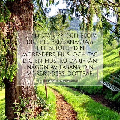 Picture 07 - 1 Mosebok 28:2 SV1917 - utan stå upp och begiv dig till Paddan-Aram, - Bible Verse Picture