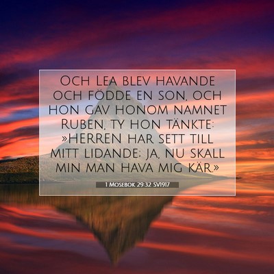 Picture 07 - 1 Mosebok 29:32 SV1917 - Och Lea blev havande och födde en son, och hon - Bible Verse Picture