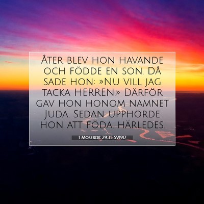 Picture 07 - 1 Mosebok 29:35 SV1917 - Åter blev hon havande och födde en son. Då - Bible Verse Picture