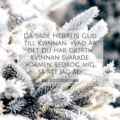 Picture 07 - 1 Mosebok 3:13 SV1917 - Då sade HERREN Gud till kvinnan: »Vad är det - Bible Verse Picture