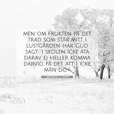 Picture 07 - 1 Mosebok 3:3 SV1917 - men om frukten på det träd som står mitt i - Bible Verse Picture