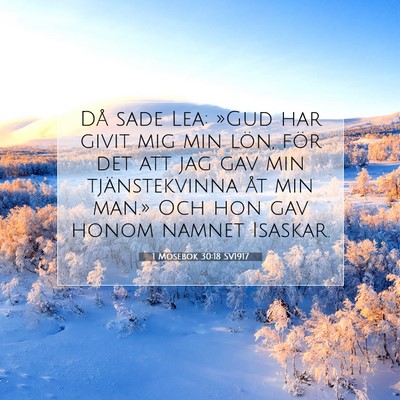 Picture 07 - 1 Mosebok 30:18 SV1917 - Då sade Lea: »Gud har givit mig min lön, för - Bible Verse Picture