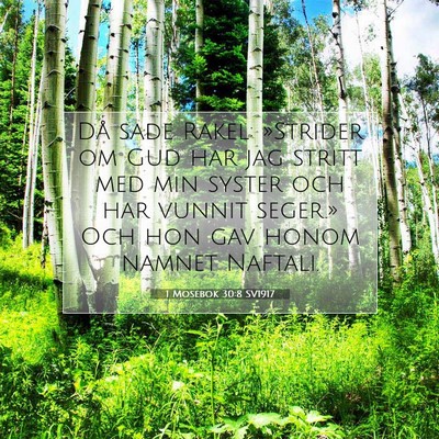 Picture 07 - 1 Mosebok 30:8 SV1917 - Då sade Rakel: »Strider om Gud har jag stritt - Bible Verse Picture