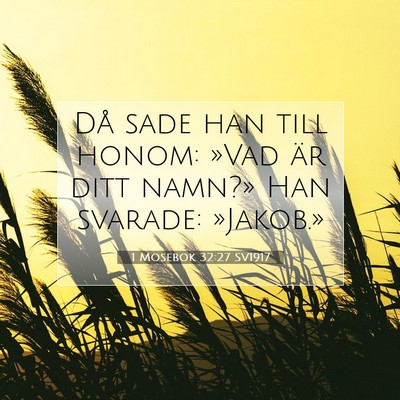 Picture 07 - 1 Mosebok 32:27 SV1917 - Då sade han till honom: »Vad är ditt namn?» - Bible Verse Picture