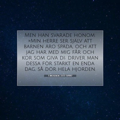 Picture 07 - 1 Mosebok 33:13 SV1917 - Men han svarade honom: »Min herre ser själv att - Bible Verse Picture