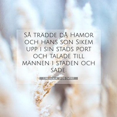 Picture 07 - 1 Mosebok 34:20 SV1917 - Så trädde då Hamor och hans son Sikem upp i - Bible Verse Picture