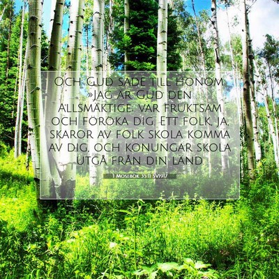 Picture 07 - 1 Mosebok 35:11 SV1917 - Och Gud sade till honom: »Jag är Gud den - Bible Verse Picture