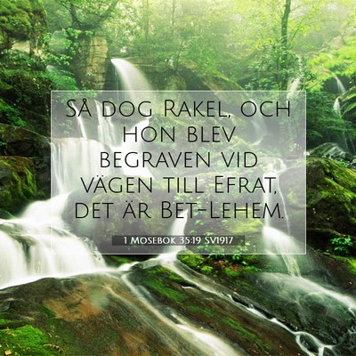 Picture 07 - 1 Mosebok 35:19 SV1917 - Så dog Rakel, och hon blev begraven vid vägen - Bible Verse Picture