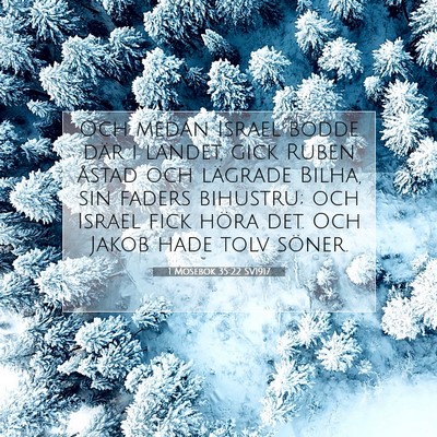 Picture 07 - 1 Mosebok 35:22 SV1917 - Och medan Israel bodde där i landet, gick Ruben - Bible Verse Picture