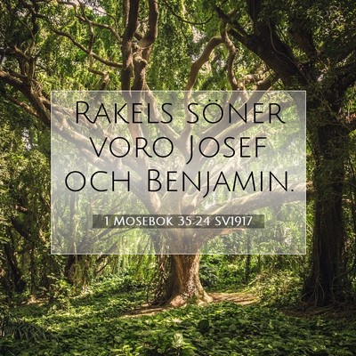 Picture 07 - 1 Mosebok 35:24 SV1917 - Rakels söner voro Josef och - Bible Verse Picture