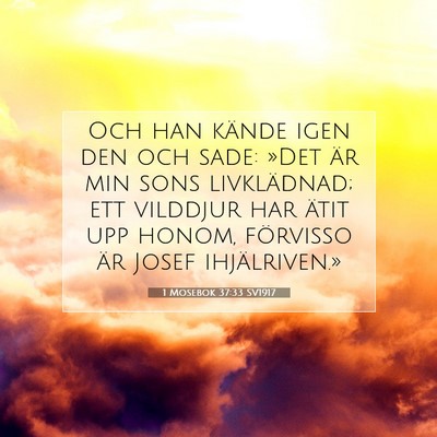 Picture 07 - 1 Mosebok 37:33 SV1917 - Och han kände igen den och sade: »Det är min - Bible Verse Picture