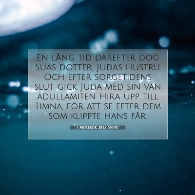 Picture 07 - 1 Mosebok 38:12 SV1917 - En lång tid därefter dog Suas dotter, Judas - Bible Verse Picture