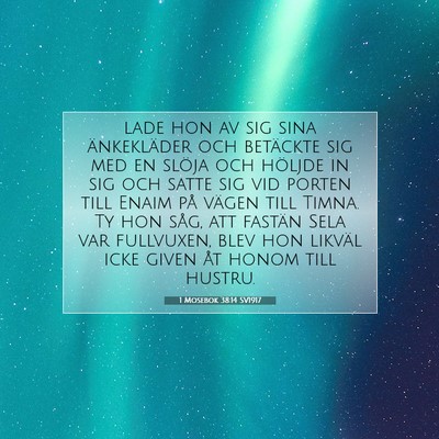 Picture 07 - 1 Mosebok 38:14 SV1917 - lade hon av sig sina änkekläder och betäckte - Bible Verse Picture