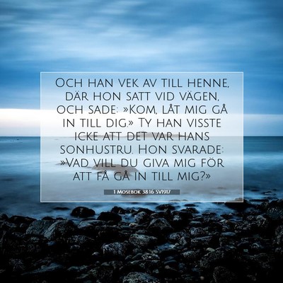 Picture 07 - 1 Mosebok 38:16 SV1917 - Och han vek av till henne, där hon satt vid - Bible Verse Picture