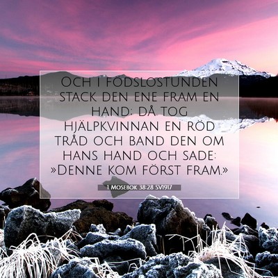 Picture 07 - 1 Mosebok 38:28 SV1917 - Och i födslostunden stack den ene fram en hand; - Bible Verse Picture
