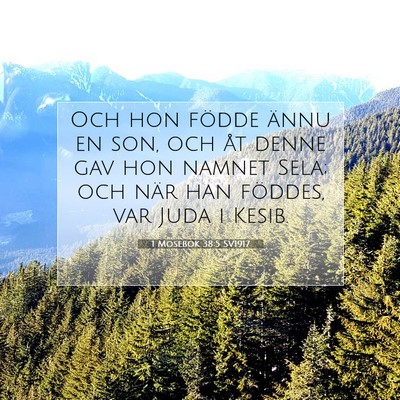 Picture 07 - 1 Mosebok 38:5 SV1917 - Och hon födde ännu en son, och åt denne gav - Bible Verse Picture
