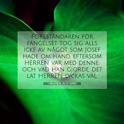 Picture 07 - 1 Mosebok 39:23 SV1917 - Föreståndaren för fängelset tog sig alls icke - Bible Verse Picture