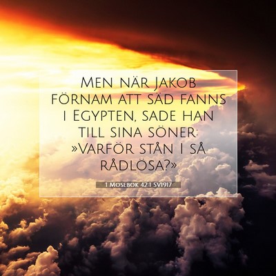 Picture 07 - 1 Mosebok 42:1 SV1917 - Men när Jakob förnam att säd fanns i Egypten, - Bible Verse Picture