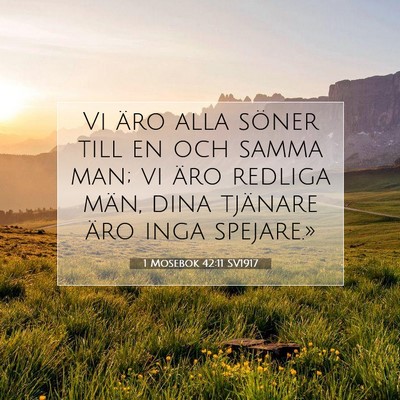 Picture 07 - 1 Mosebok 42:11 SV1917 - Vi äro alla söner till en och samma man; vi - Bible Verse Picture