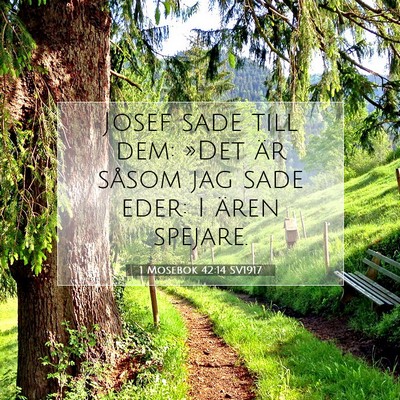 Picture 07 - 1 Mosebok 42:14 SV1917 - Josef sade till dem: »Det är såsom jag sade - Bible Verse Picture