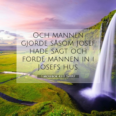 Picture 07 - 1 Mosebok 43:17 SV1917 - Och mannen gjorde såsom Josef hade sagt och - Bible Verse Picture