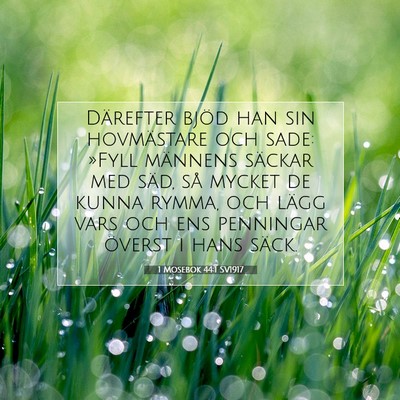 Picture 07 - 1 Mosebok 44:1 SV1917 - Därefter bjöd han sin hovmästare och sade: - Bible Verse Picture