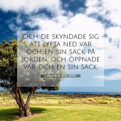 Picture 07 - 1 Mosebok 44:11 SV1917 - Och de skyndade sig att lyfta ned var och en sin - Bible Verse Picture
