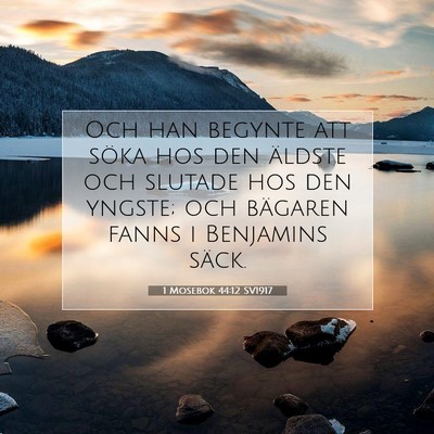 Picture 07 - 1 Mosebok 44:12 SV1917 - Och han begynte att söka hos den äldste och - Bible Verse Picture