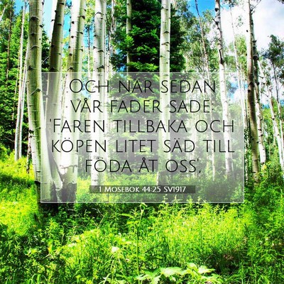 Picture 07 - 1 Mosebok 44:25 SV1917 - Och när sedan vår fader sade: 'Faren tillbaka - Bible Verse Picture