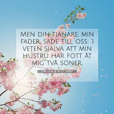 Picture 07 - 1 Mosebok 44:27 SV1917 - Men din tjänare, min fader, sade till oss: 'I - Bible Verse Picture