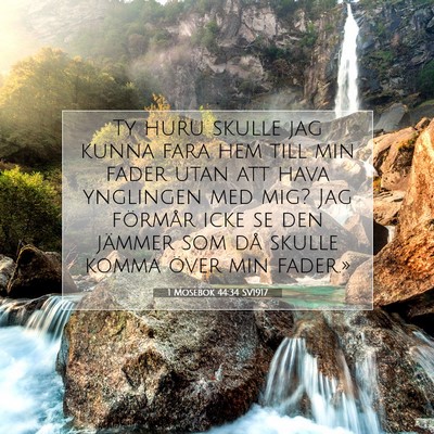 Picture 07 - 1 Mosebok 44:34 SV1917 - Ty huru skulle jag kunna fara hem till min fader - Bible Verse Picture