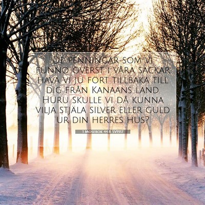 Picture 07 - 1 Mosebok 44:8 SV1917 - De penningar som vi funno överst i våra säckar - Bible Verse Picture