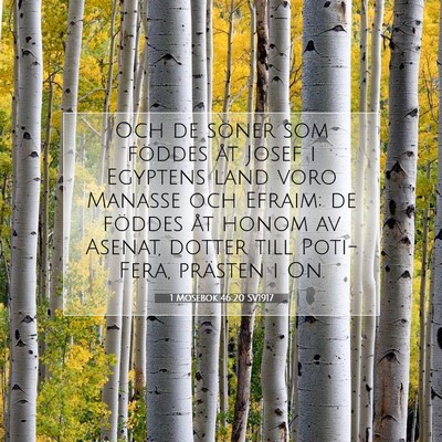 Picture 07 - 1 Mosebok 46:20 SV1917 - Och de söner som föddes åt Josef i Egyptens - Bible Verse Picture