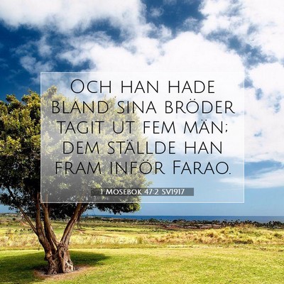 Picture 07 - 1 Mosebok 47:2 SV1917 - Och han hade bland sina bröder tagit ut fem - Bible Verse Picture