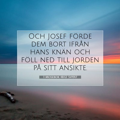 Picture 07 - 1 Mosebok 48:12 SV1917 - Och Josef förde dem bort ifrån hans knän och - Bible Verse Picture