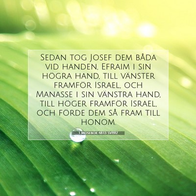 Picture 07 - 1 Mosebok 48:13 SV1917 - Sedan tog Josef dem båda vid handen, Efraim i - Bible Verse Picture