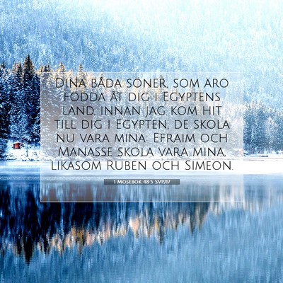 Picture 07 - 1 Mosebok 48:5 SV1917 - Dina båda söner, som äro födda åt dig i - Bible Verse Picture