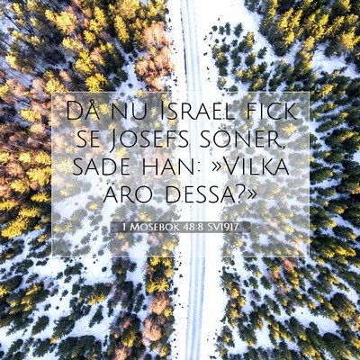 Picture 07 - 1 Mosebok 48:8 SV1917 - Då nu Israel fick se Josefs söner, sade han: - Bible Verse Picture