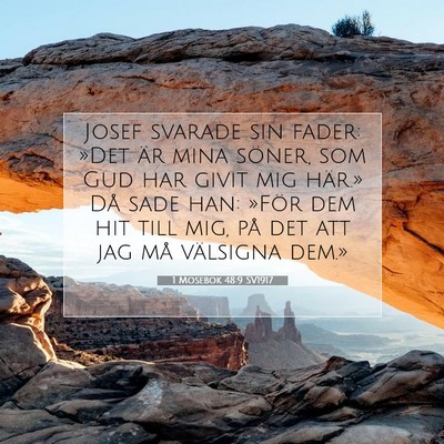 Picture 07 - 1 Mosebok 48:9 SV1917 - Josef svarade sin fader: »Det är mina söner, - Bible Verse Picture