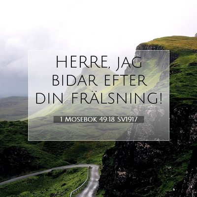 Picture 07 - 1 Mosebok 49:18 SV1917 - HERRE, jag bidar efter din - Bible Verse Picture