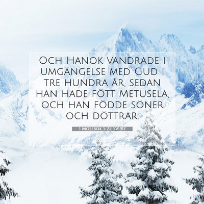 Picture 07 - 1 Mosebok 5:22 SV1917 - Och Hanok vandrade i umgängelse med Gud i tre - Bible Verse Picture