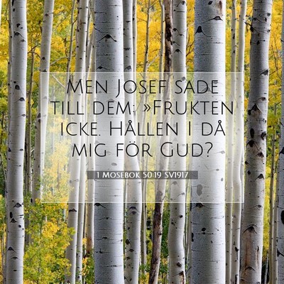 Picture 07 - 1 Mosebok 50:19 SV1917 - Men Josef sade till dem: »Frukten icke. Hållen - Bible Verse Picture