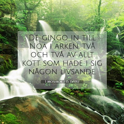 Picture 07 - 1 Mosebok 7:15 SV1917 - De gingo in till Noa i arken, två och två av - Bible Verse Picture