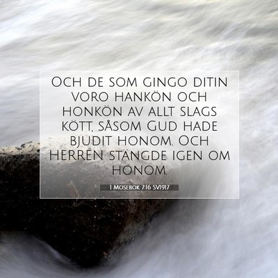 Picture 07 - 1 Mosebok 7:16 SV1917 - Och de som gingo ditin voro hankön och honkön - Bible Verse Picture