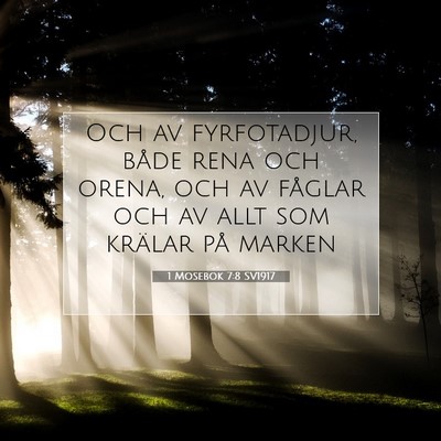 Picture 07 - 1 Mosebok 7:8 SV1917 - Och av fyrfotadjur, både rena och orena, och av - Bible Verse Picture