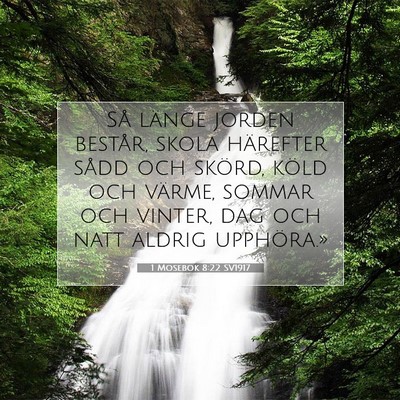 Picture 07 - 1 Mosebok 8:22 SV1917 - Så länge jorden består, skola härefter sådd - Bible Verse Picture