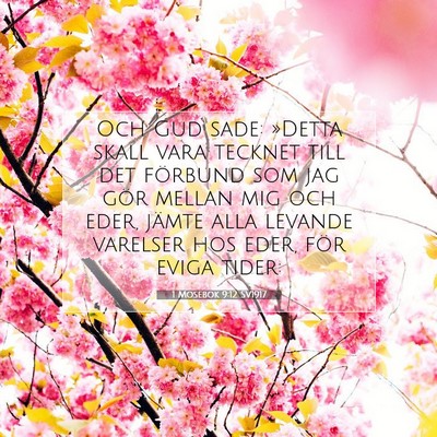 Picture 07 - 1 Mosebok 9:12 SV1917 - Och Gud sade: »Detta skall vara tecknet till det - Bible Verse Picture